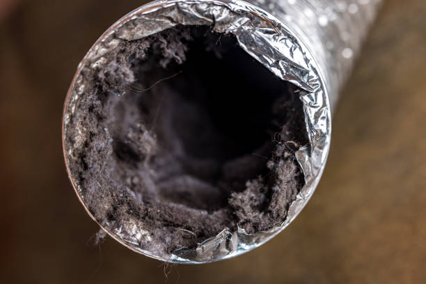 Best HVAC Duct Inspection Services  in Reiffton, PA